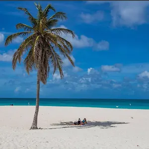 Ocean View Overlooking The Caribbean Sea Oranjestad
